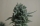 White Widow 47 / FEM / Kalashnikov Seeds