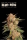 Blue Moby / AUTOFEM / Seedstockers