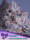 Frozen Black Cherry / AUTOFEM / Anesia Seeds