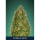 Gorilla Blue / FEM / Advanced Seeds