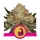 HulkBerry / FEM / Royal Queen Seeds