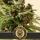 Mamba Negra CBD / AUTOFEM / Blimburn Seeds