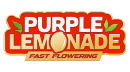 Purple Lemonade FF / FEM / FastBuds Seeds