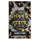 Do-Si-Dos x Purple Punch / FEM / Ripper Seeds