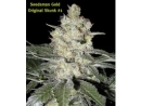 Original Skunk #1 / REG / Seedsman