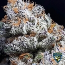 Purple Banana Cream / FEM / T.H. Seeds