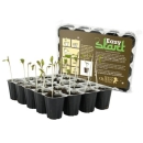 RQS Easy Start Royal Queen Seeds