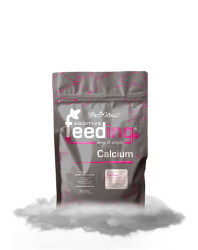 Powder Feeding Calcium 500 g