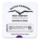 Auto Blackberry Kush / AUTOFEM 7er / Dutch Passion