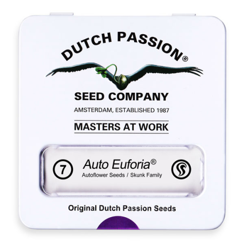Euforia / AUTOFEM 7er / Dutch Passion