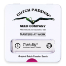 Think Big / AUTOFEM 3er / Dutch Passion