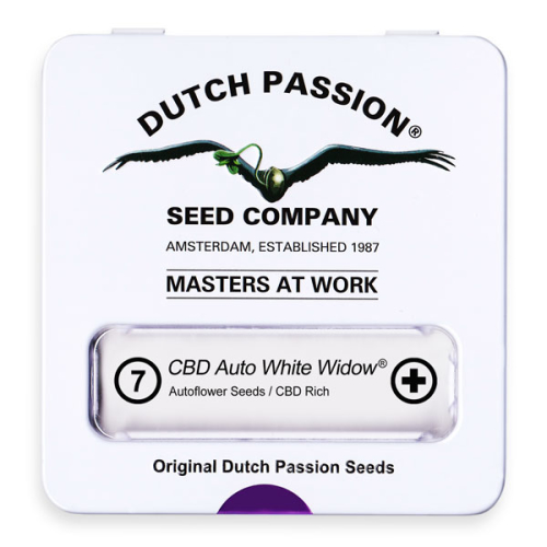 CBD Auto White Widow / AUTOFEM 7er / Dutch Passion
