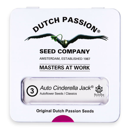 Auto Cinderella Jack / AUTOFEM 3er / Dutch Passion