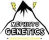 Deep Blue C / AUTOFEM 7er / Mephisto Genetics