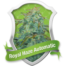 Royal Haze / AUTOFEM 3er / Royal Queen Seeds