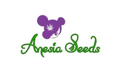 Anesia Seeds
