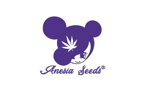 Anesia Seeds
