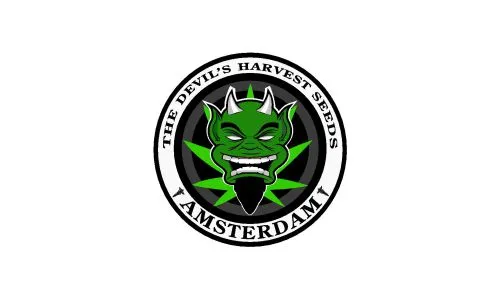 Devils Harvest Seeds