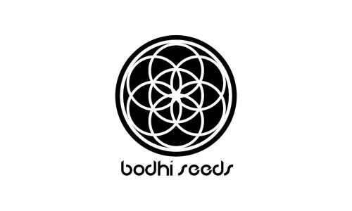 Bodhi Seeds