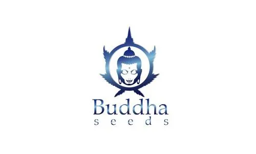 Buddha Seeds