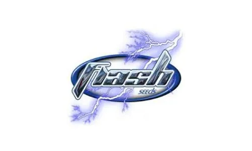 Flash Seeds