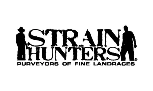 Greenhouse - Strain Hunters