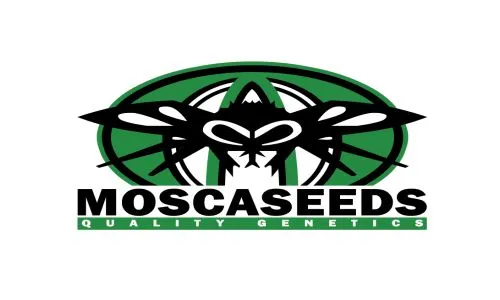 Mosca Seeds