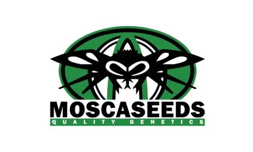 Mosca Seeds