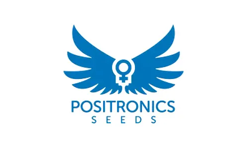 Positronic Seeds