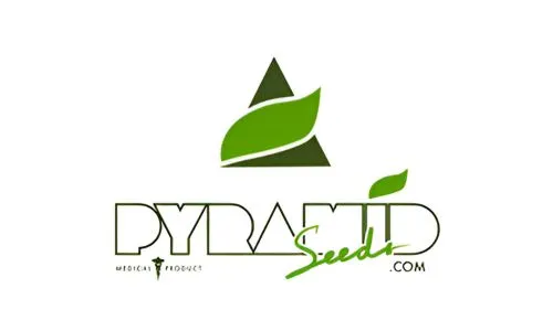 Pyramid Seeds