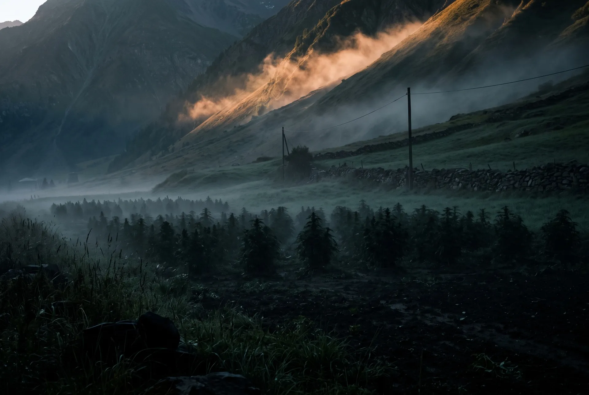 Listenbild CBD-rich: Das erste Licht im Hochtal