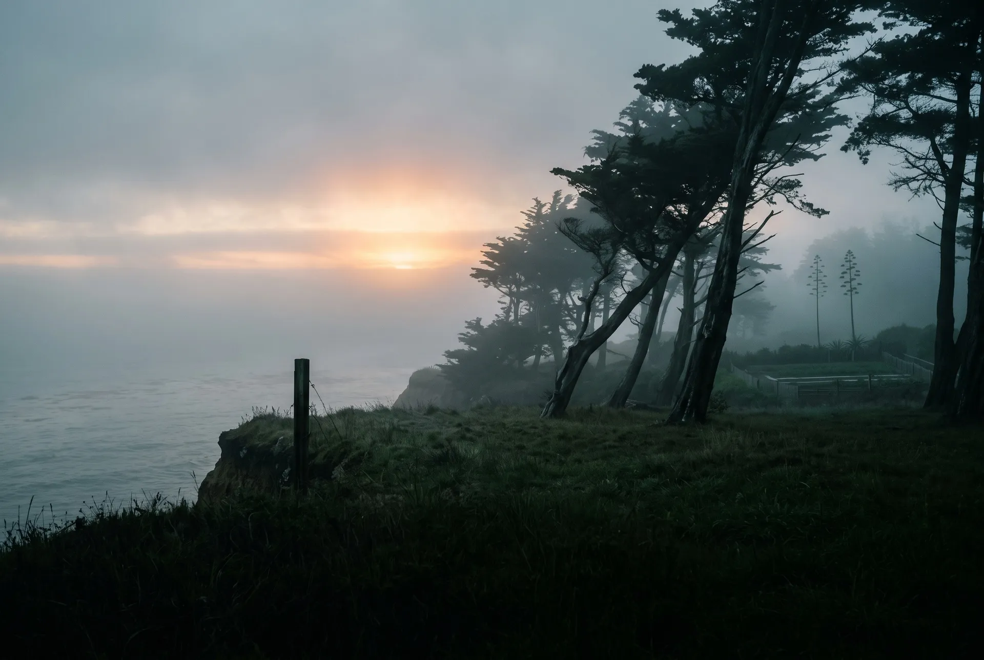 Listenbild Haze-Familie: Nebel über der Küste von Santa Cruz