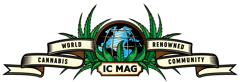 IC 420 Growers Cup