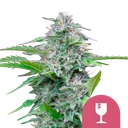 Critical | PHOTOFEM | Royal Queen Seeds - Freigestellt 2026-10-09