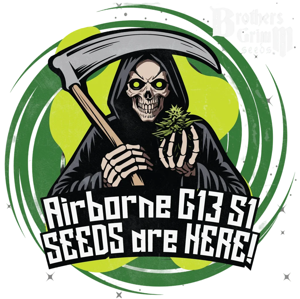 Airborne G13 S1 – Galerieansicht