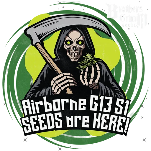 Airborne G13 S1 | PHOTOFEM | Brothers Grimm Seeds - Freigestellt 2026-10-09