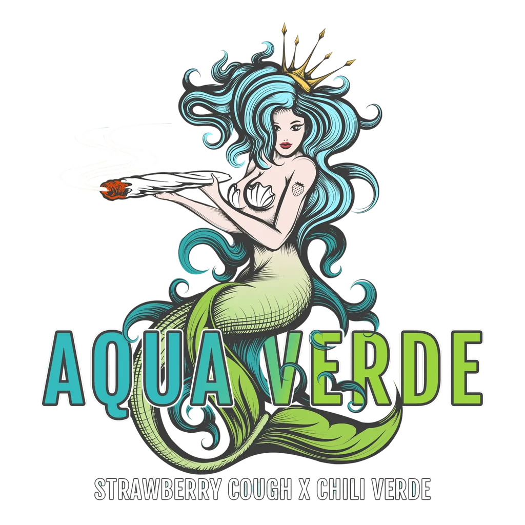 Aqua Verde | PHOTOFEM | Elev8 Seeds - Freigestellt 2026-10-09