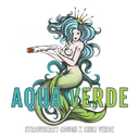 Aqua Verde | PHOTOFEM | Elev8 Seeds - Freigestellt 2026-10-09
