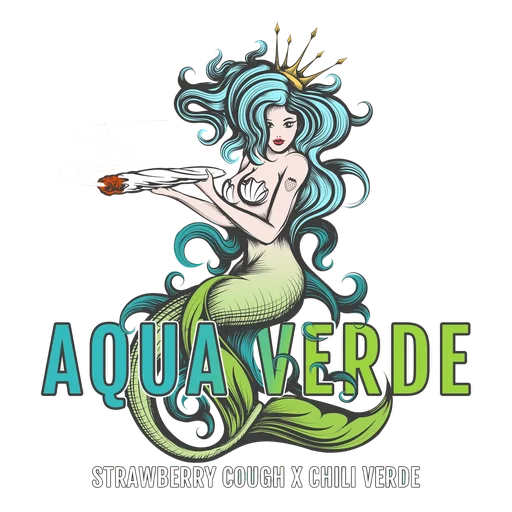Aqua Verde | PHOTOFEM | Elev8 Seeds - Freigestellt 2026-10-09