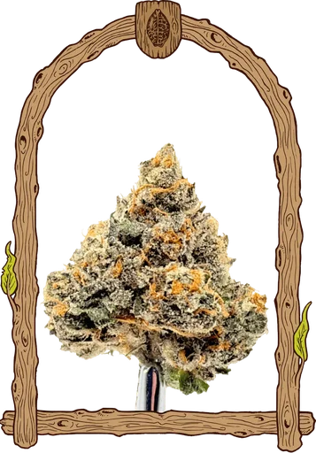 Artic Flurry | PHOTOFEM | Exotic Seed - Freigestellt 2026-10-09