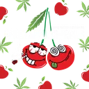 Baked Apple Cherries | PHOTOFEM | Elev8 Seeds - Freigestellt 2026-10-09