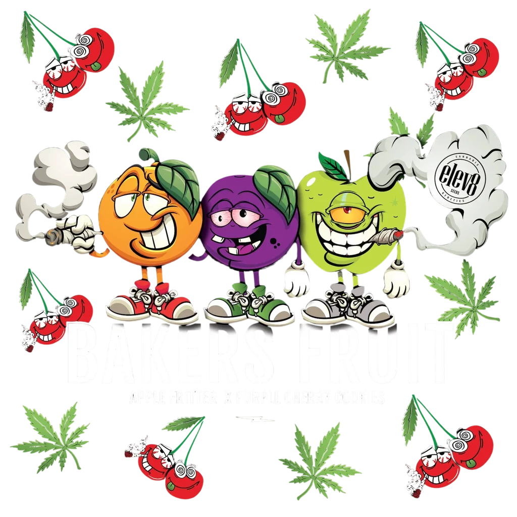 Bakers Fruit | PHOTOFEM | Elev8 Seeds - Freigestellt 2026-10-09
