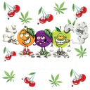 Bakers Fruit | PHOTOFEM | Elev8 Seeds - Freigestellt 2026-10-09