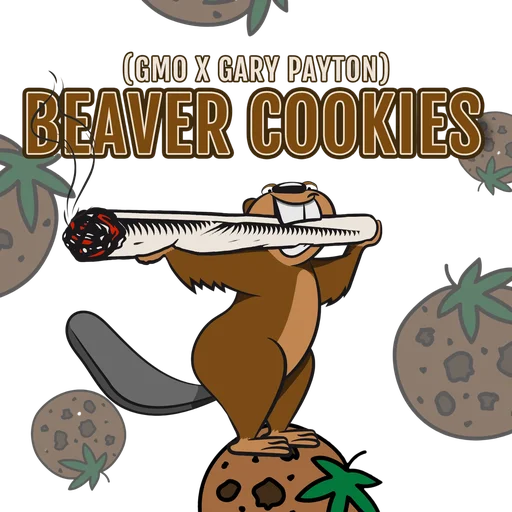Beaver Cookies | PHOTOFEM | Elev8 Seeds - Freigestellt 2026-10-09