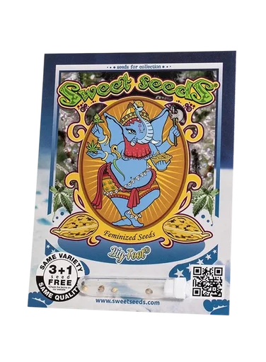 Big Foot | PHOTOFEM | Sweet Seeds - Freigestellt 2026-10-09