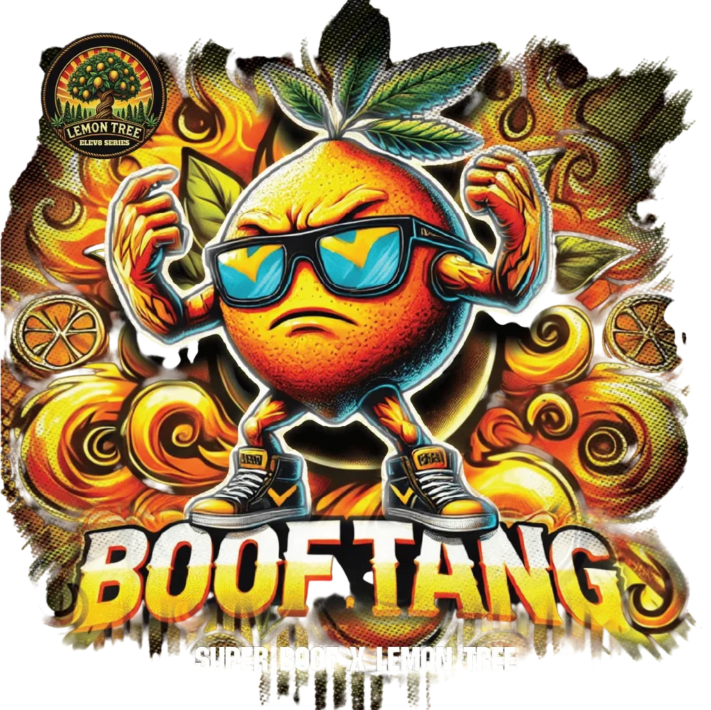 Boof Tang | PHOTOFEM | Elev8 Seeds - Freigestellt 2026-10-09