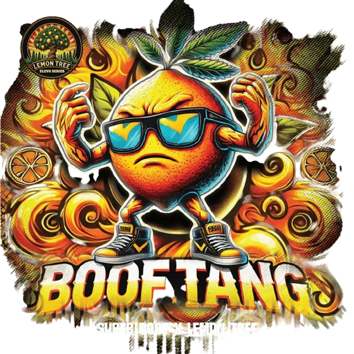 Boof Tang | PHOTOFEM | Elev8 Seeds - Freigestellt 2026-10-09