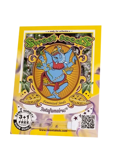 Botafumeiros | PHOTOFEM | Sweet Seeds - Freigestellt 2026-10-09