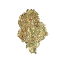 Quick One | AUTOFEM | Royal Queen Seeds - Freigestellt 2026-05-12
