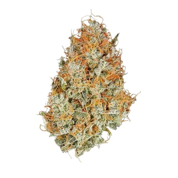 Amnesia Haze | AUTOFEM | Royal Queen Seeds - Freigestellt 2026-05-22